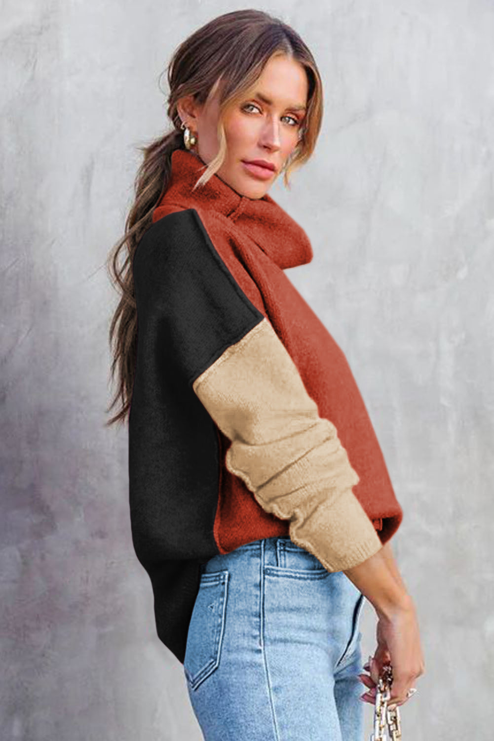 Tri-Color Turtle Neck Sweater