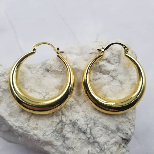 Oval Hoop Earrings